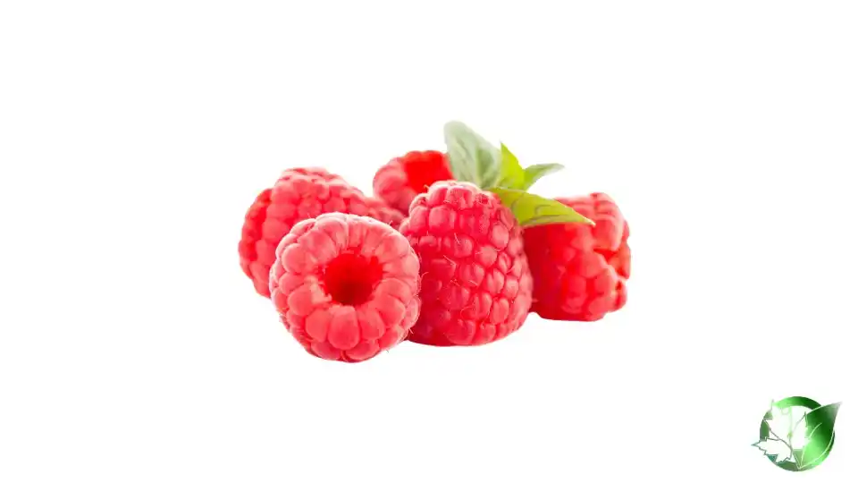 Bulk Frozen Raspberries | Suppliers | Wholesale | ParsaFood Global